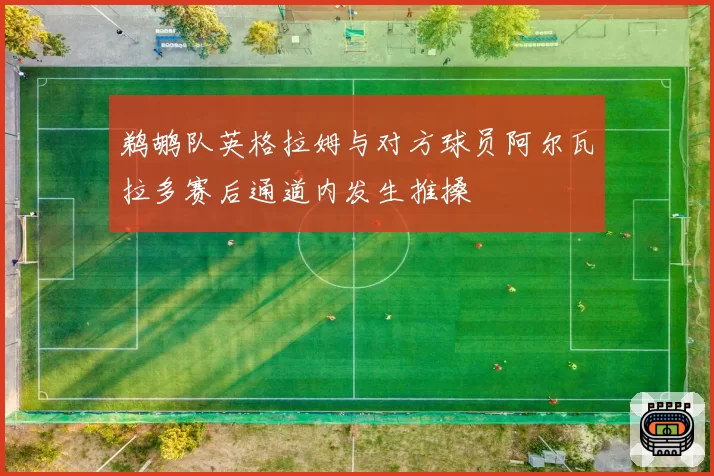 鹈鹕队英格拉姆与对方球员阿尔瓦拉多赛后通道内发生推搡